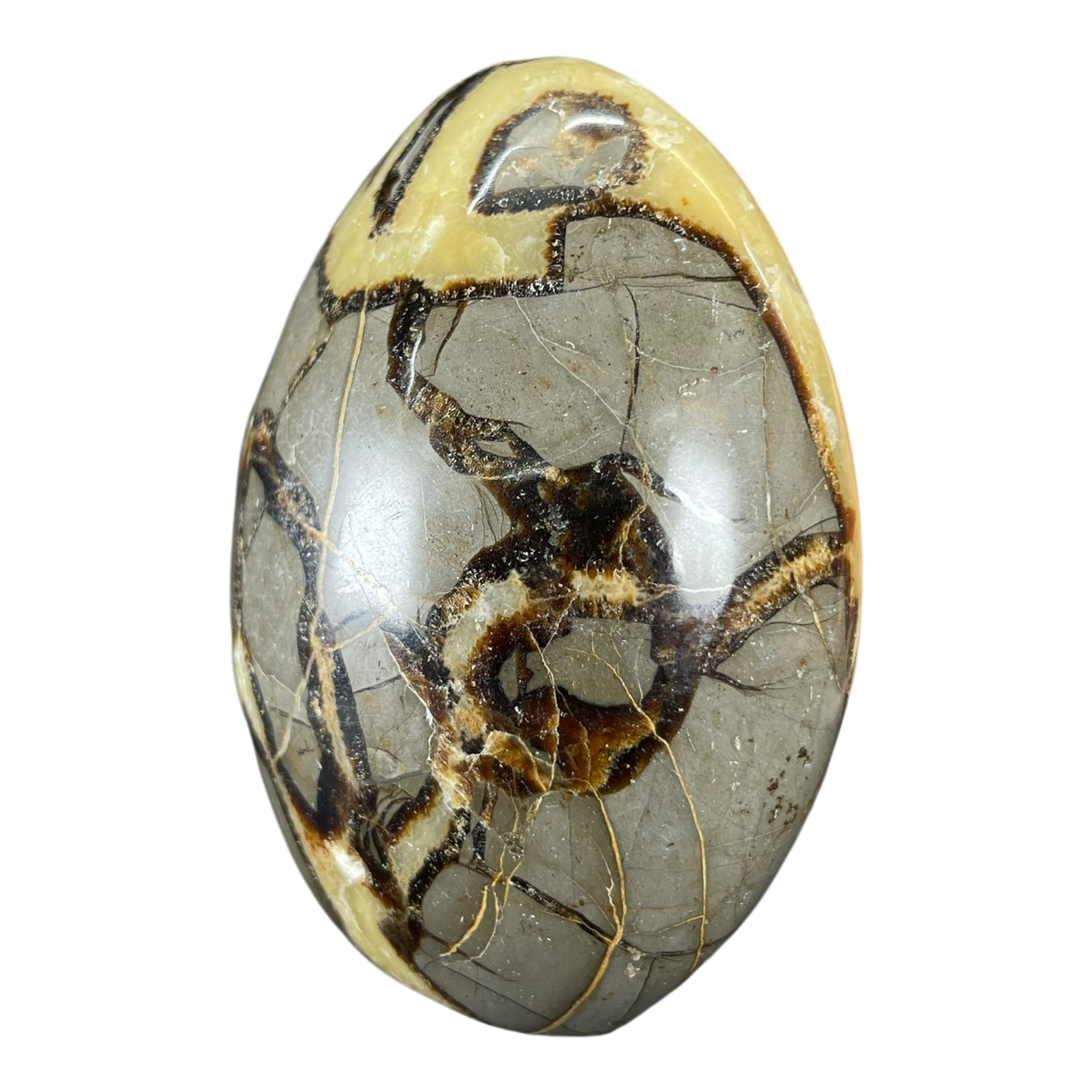 Septerian Agate