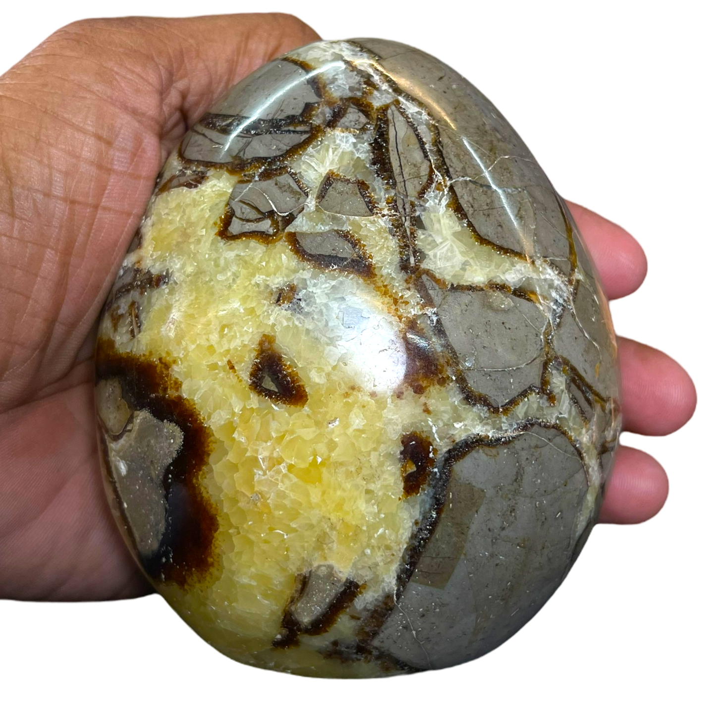 Septerian Agate