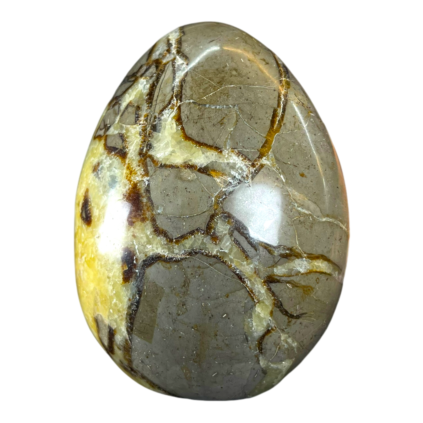 Septerian Agate