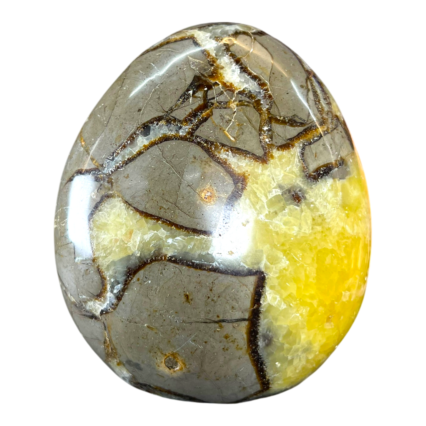 Septerian Agate