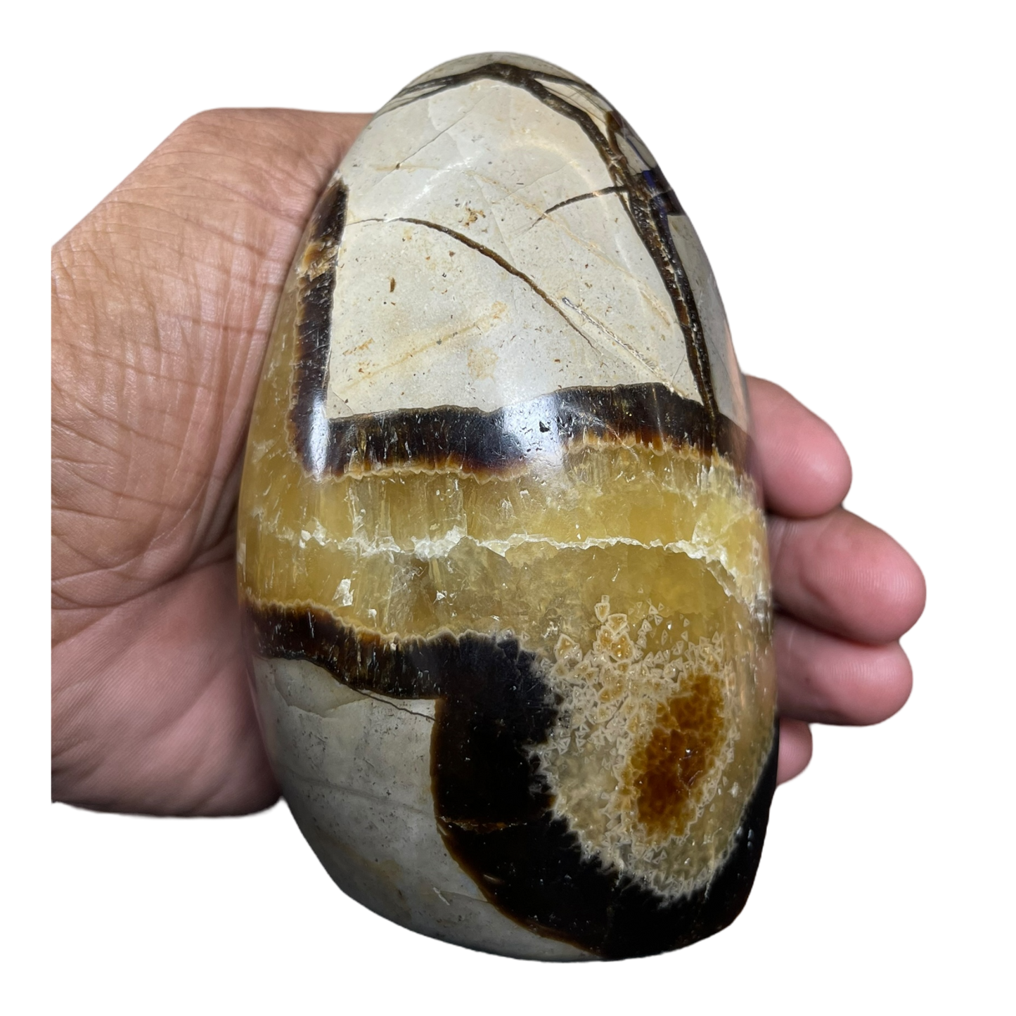 Septerian Agate