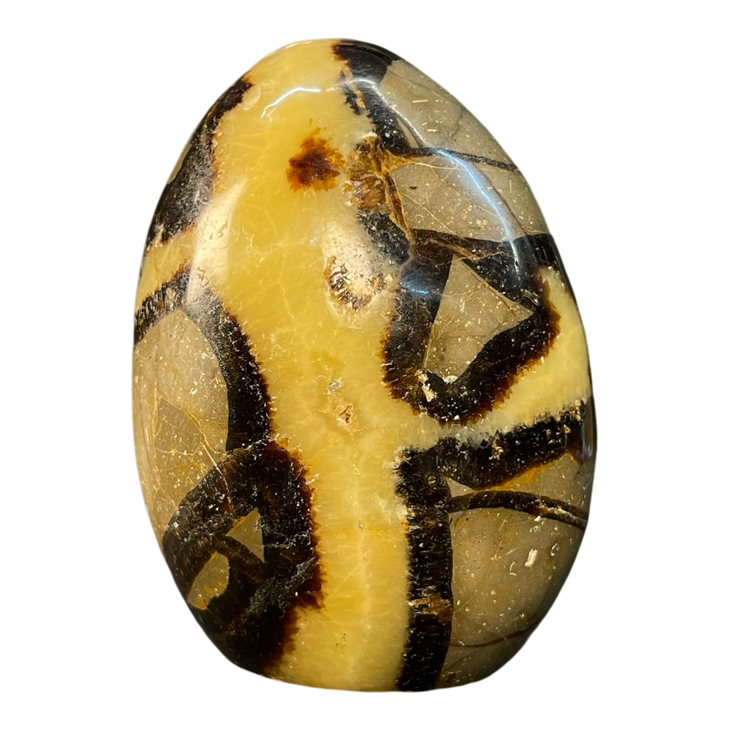Septerian Agate