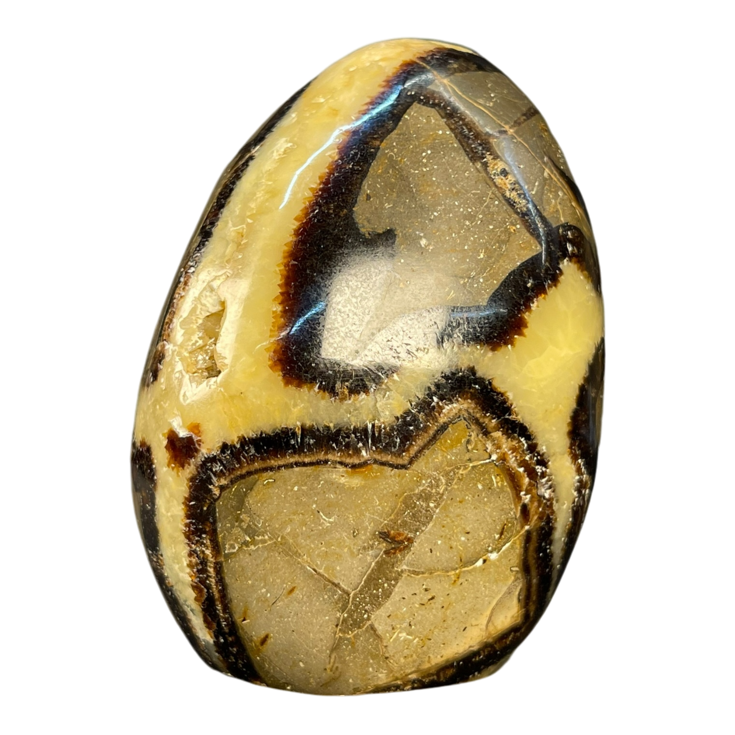Septerian Agate