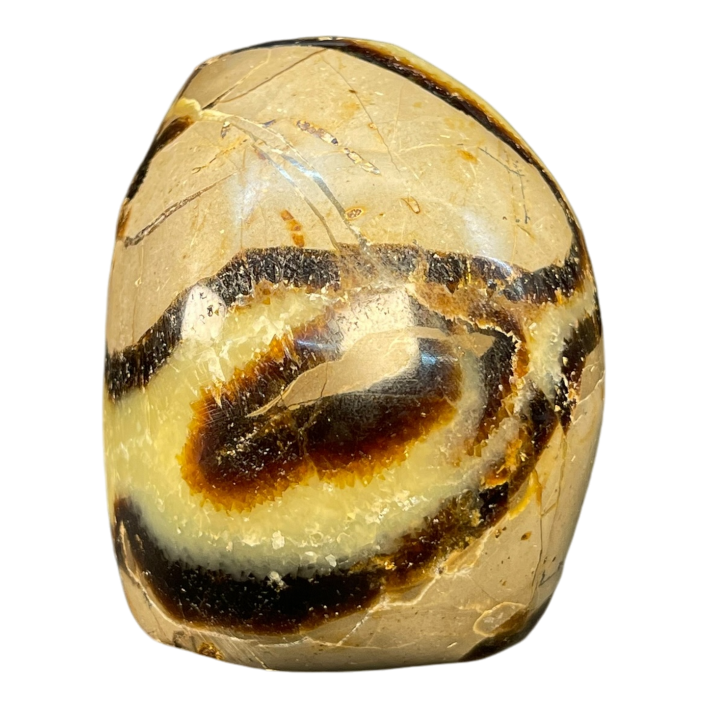 Septerian Agate