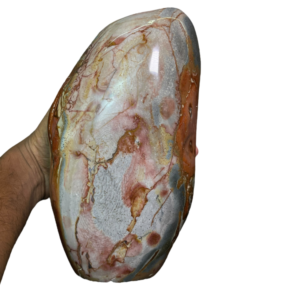 Polychrome Jasper