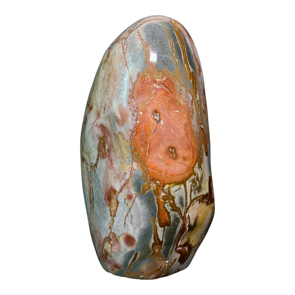 Polychrome Jasper