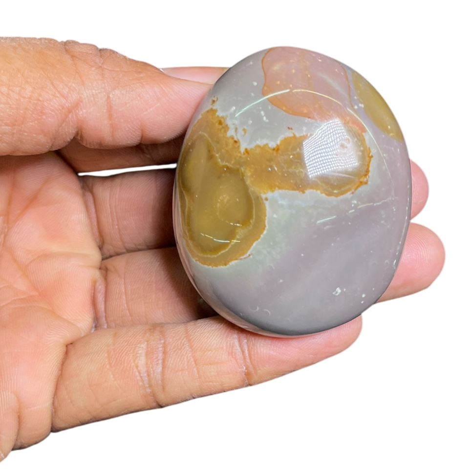 Polychrome Jasper Palm (5Pcs)