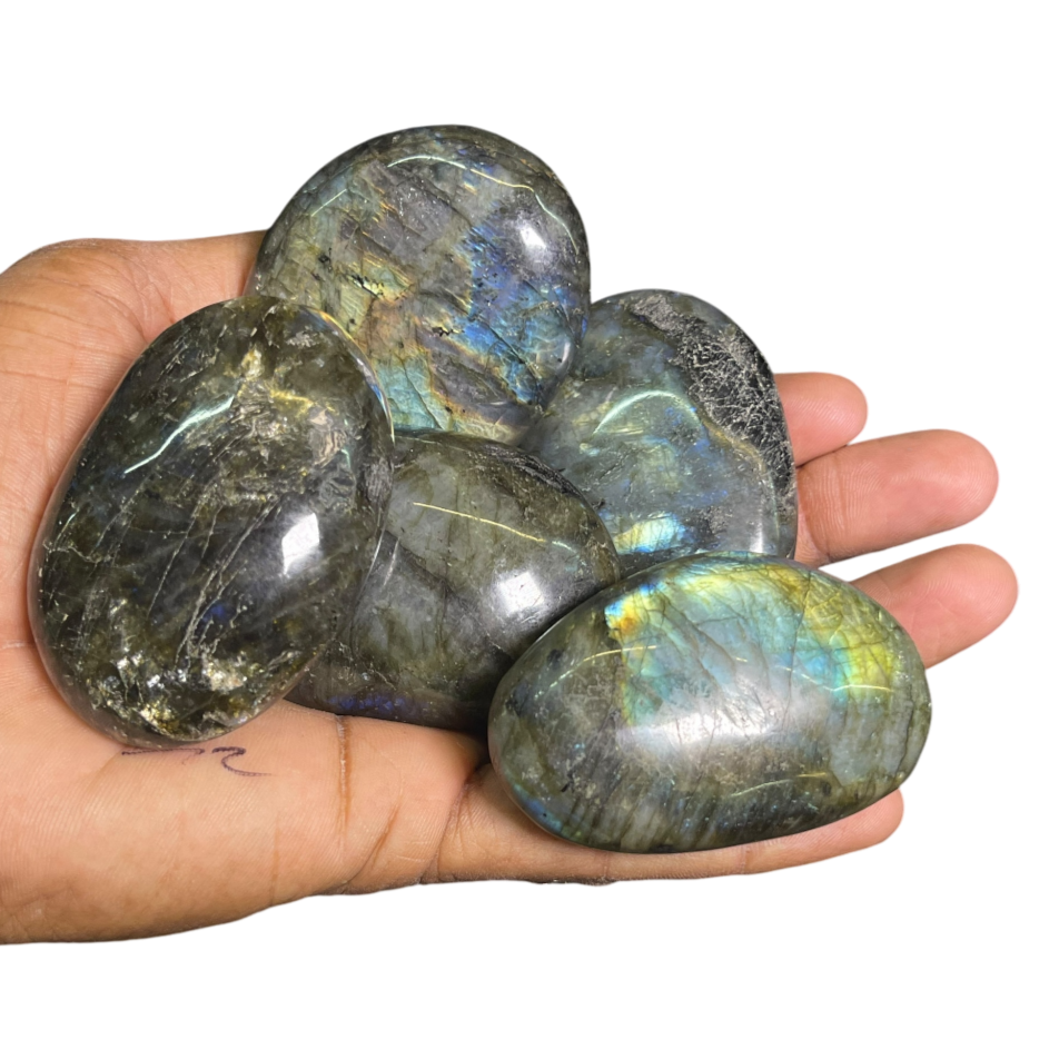 Labradorite Palm (5Pcs)