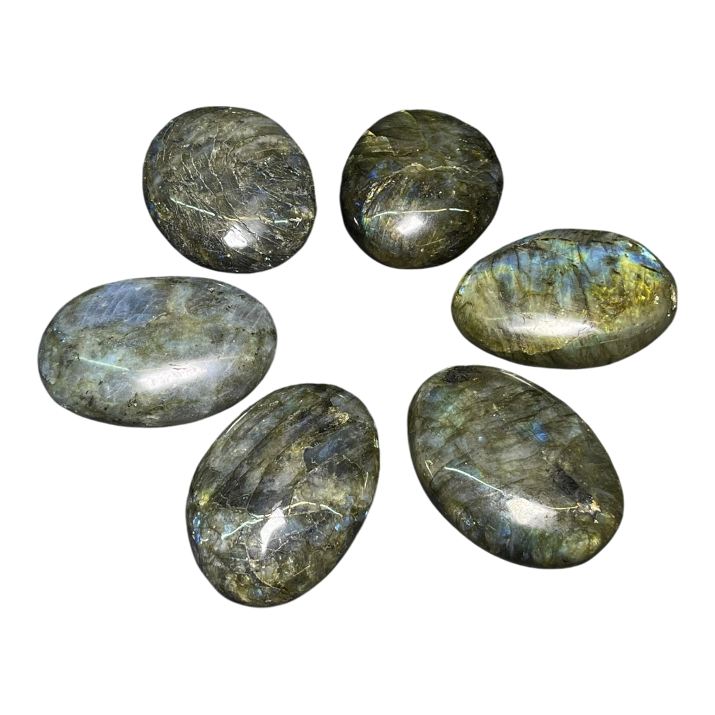 Labradorite Palm (6Pcs)