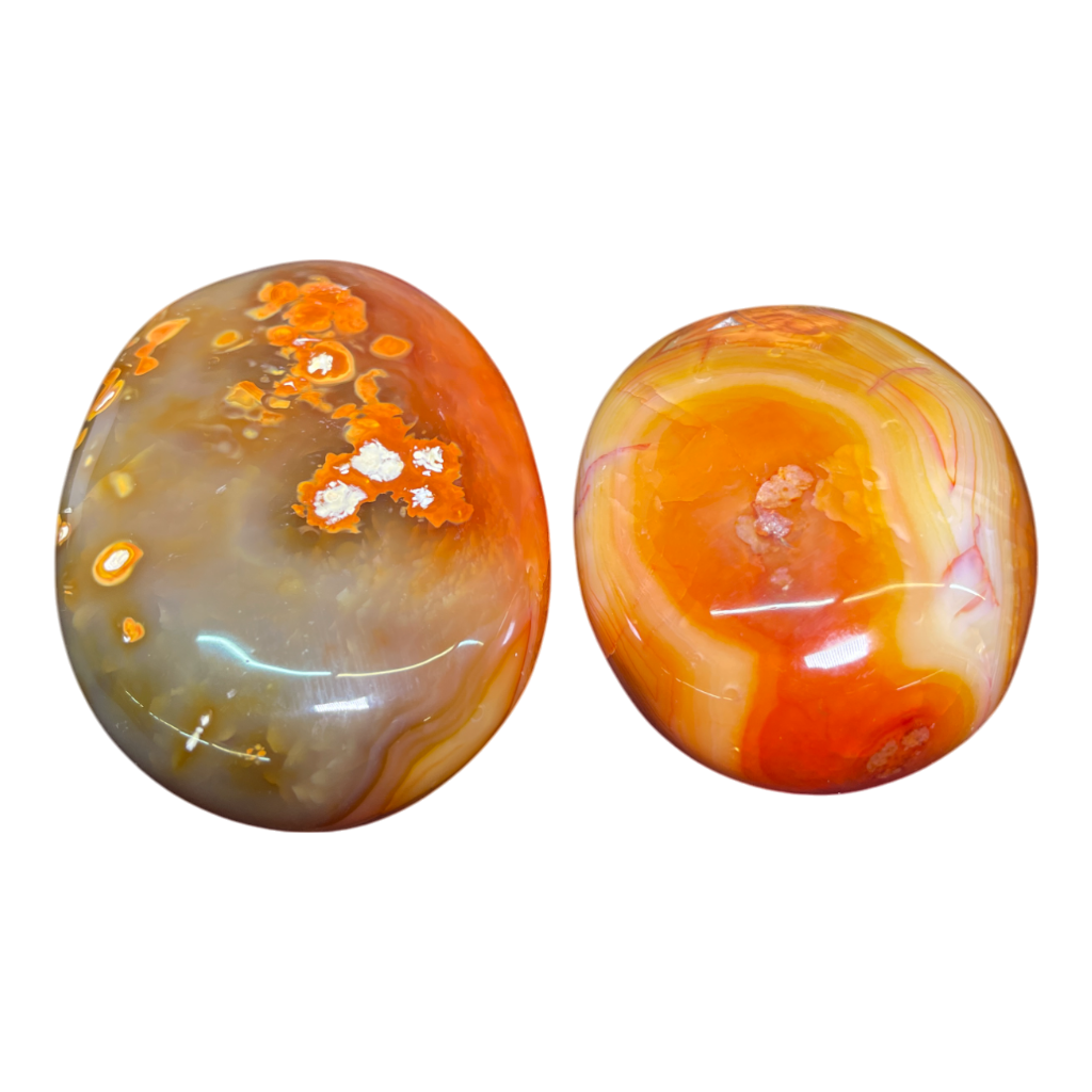 Carnelian Palm