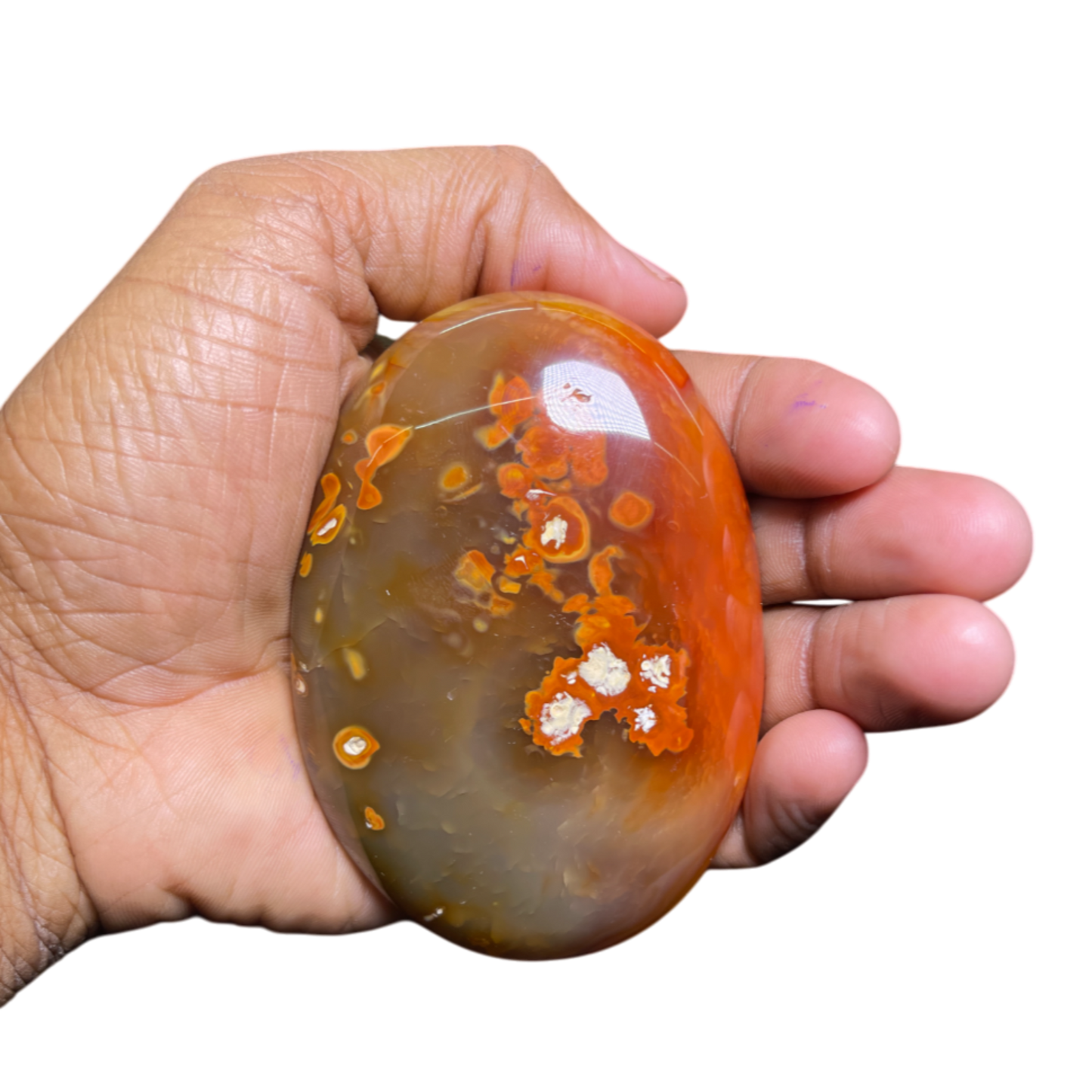 Carnelian Palm
