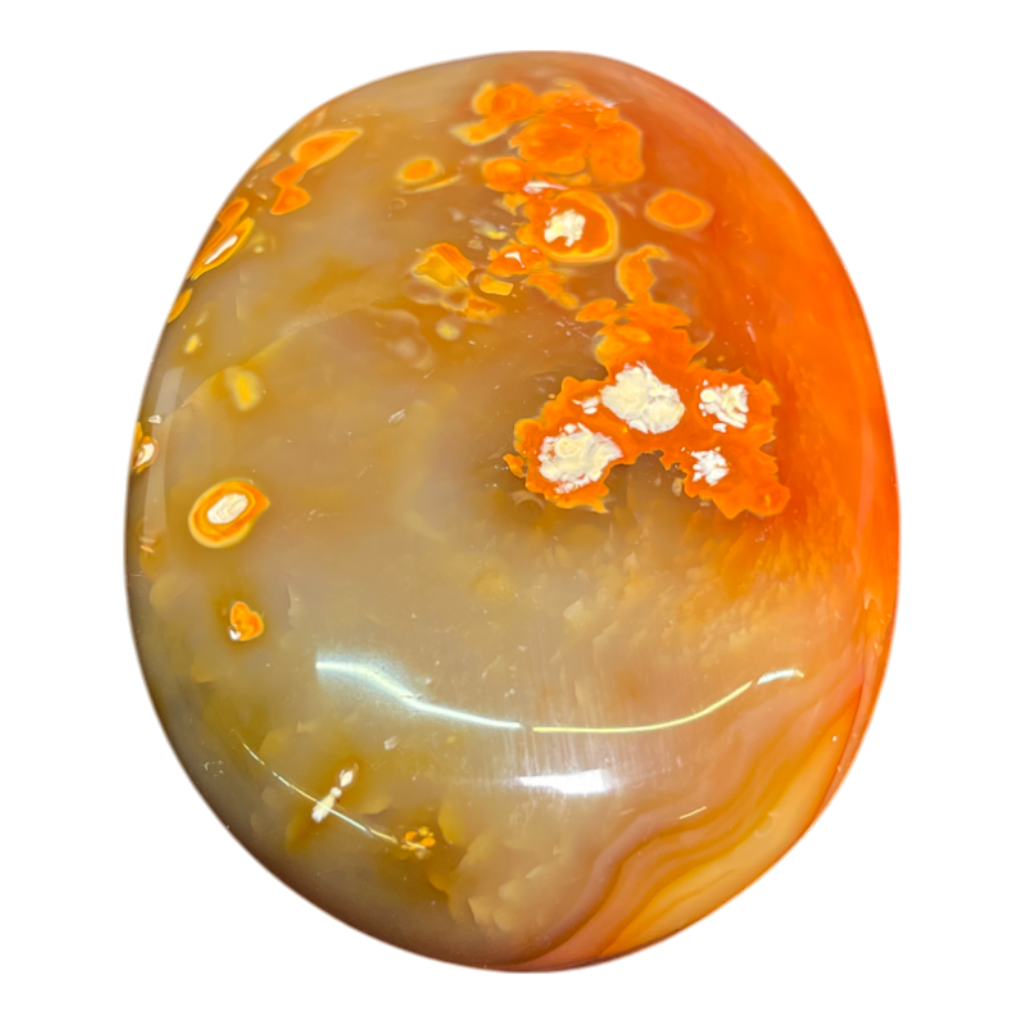 Carnelian Palm