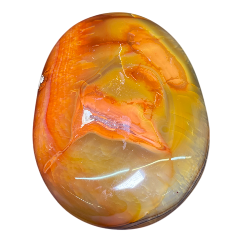 Carnelian Palm