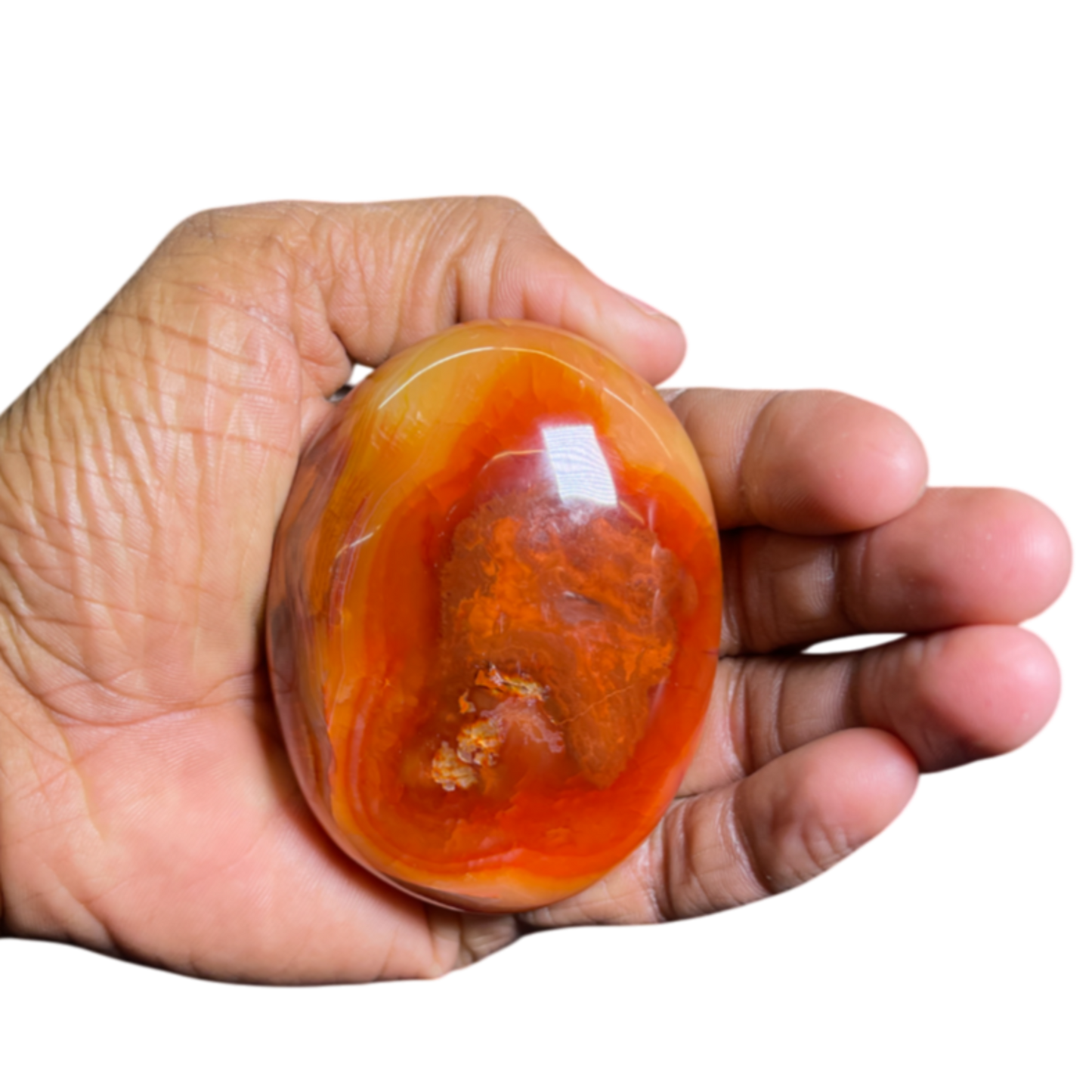 Carnelian Palm