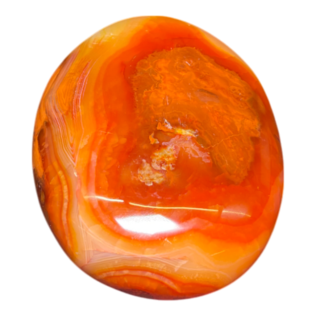 Carnelian Palm