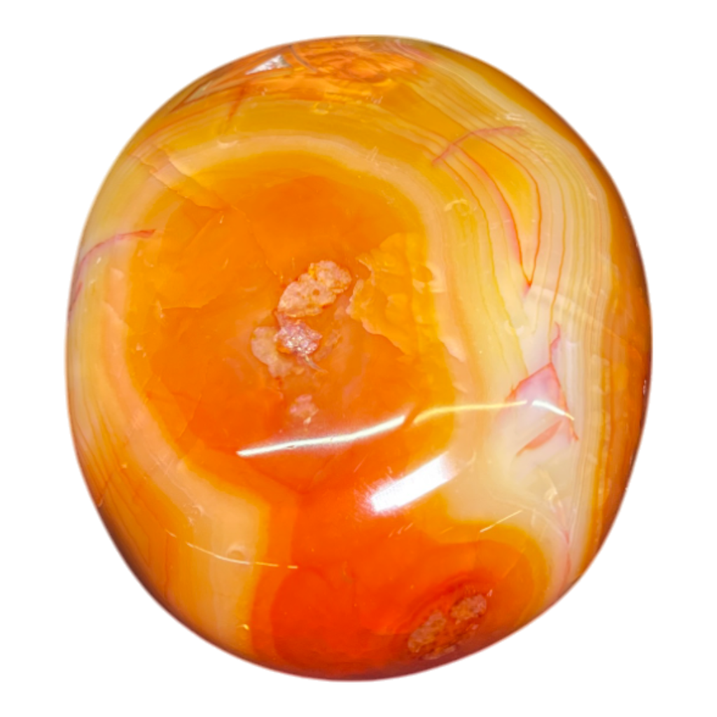 Carnelian Palm