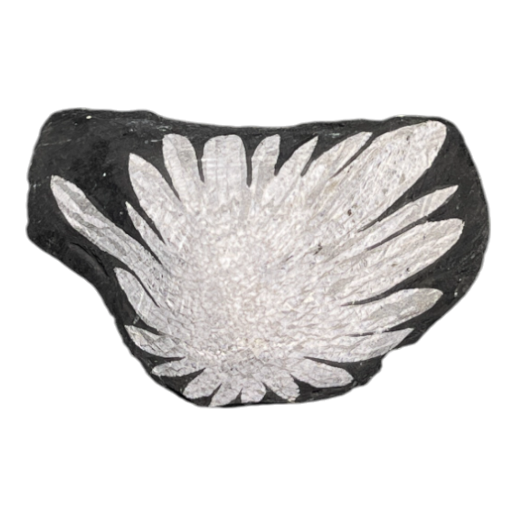Chrysanthemum