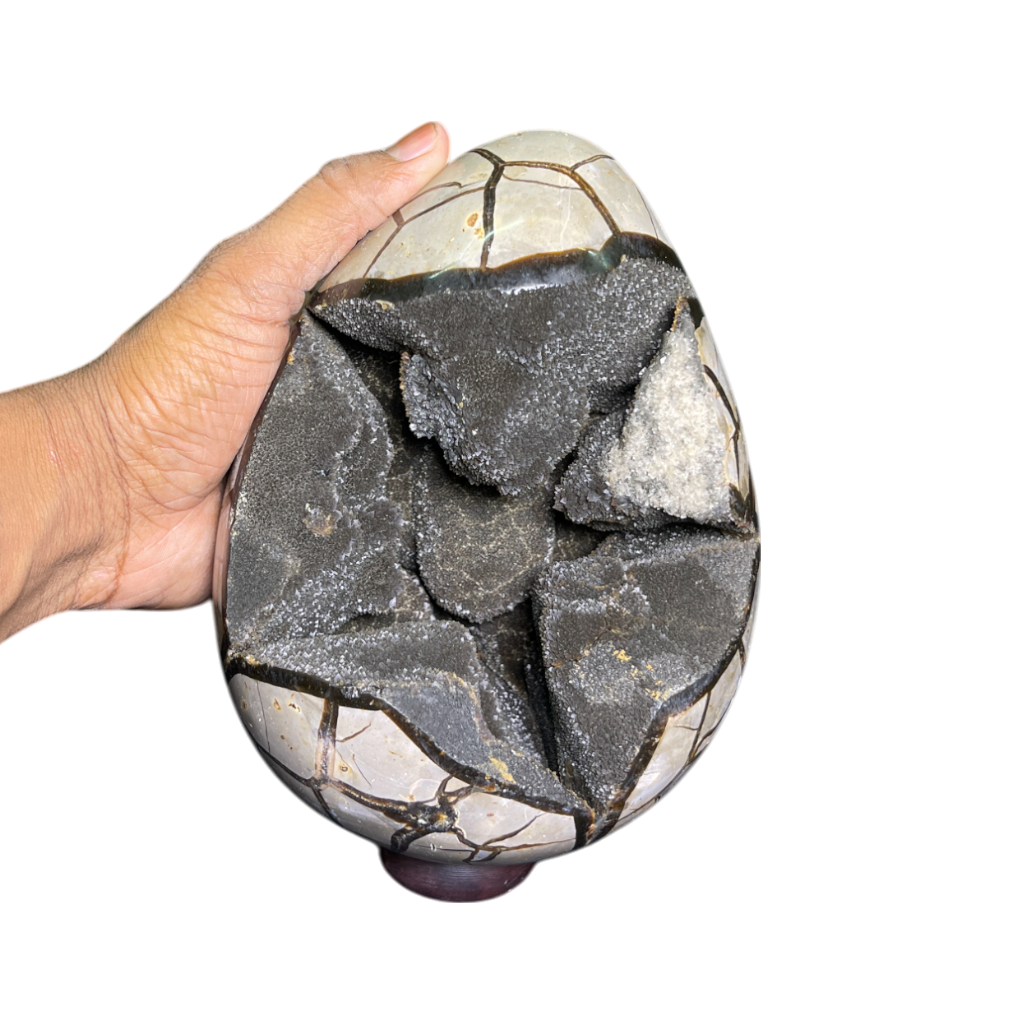 Septerian Agate