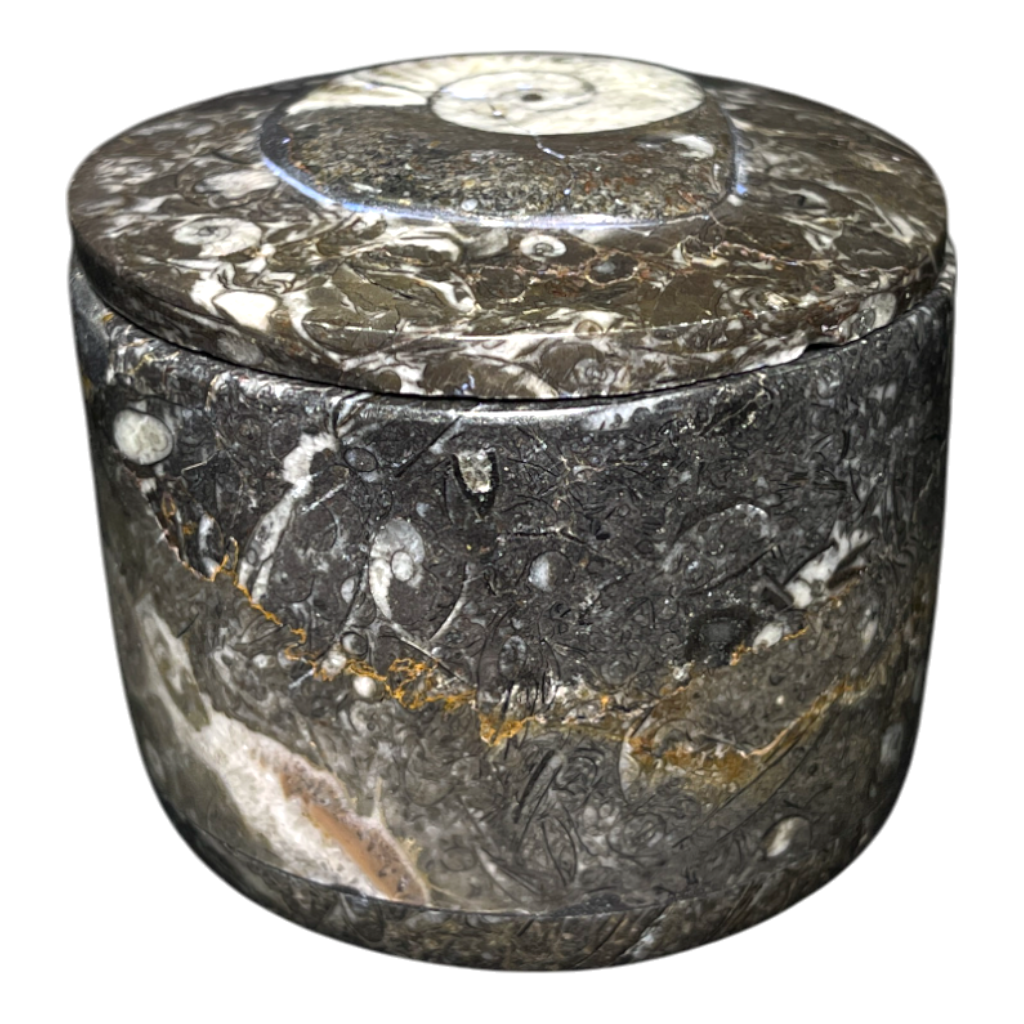 Orthoceras Bowl With Lid