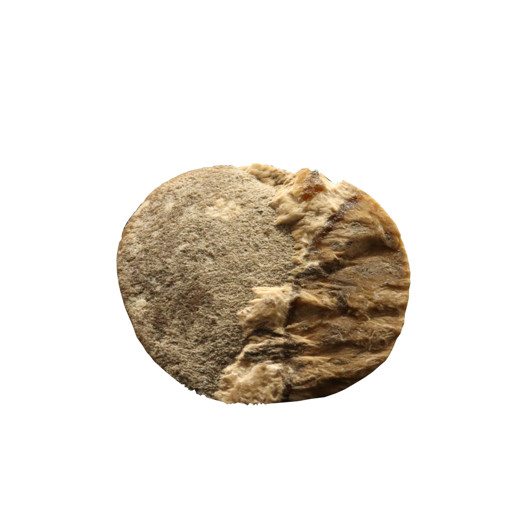 Baryte, Marcasite