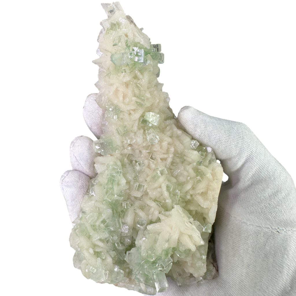 Flat Transmitted Green Apophyllite on Stilbite
