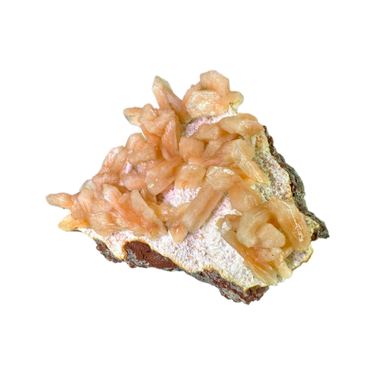 Petal Stilbite with Mordenite