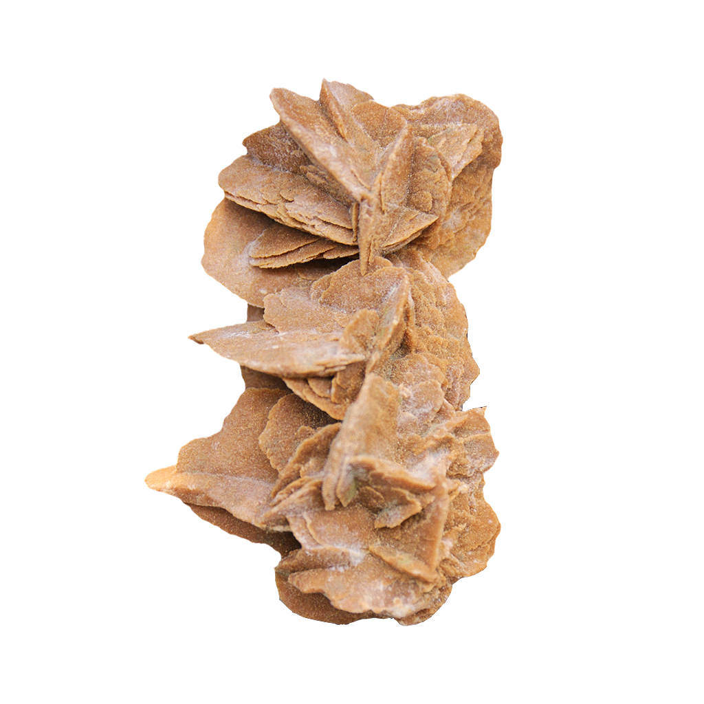 Desert Rose