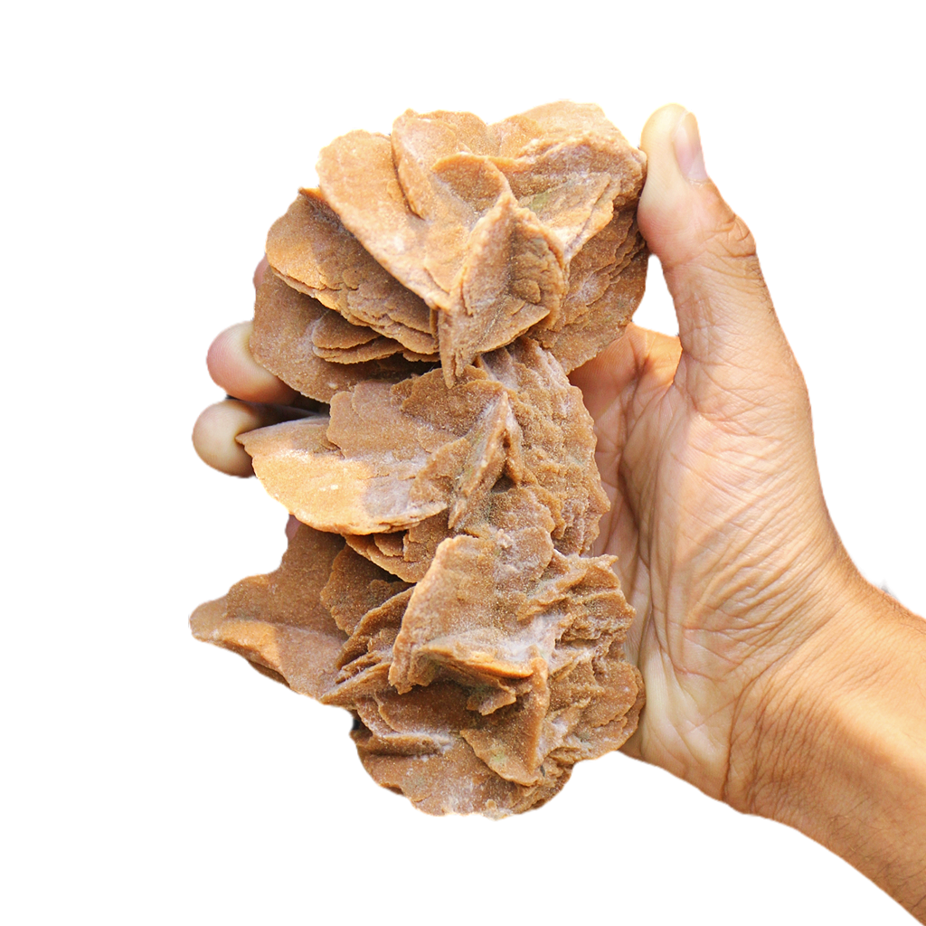 Desert Rose