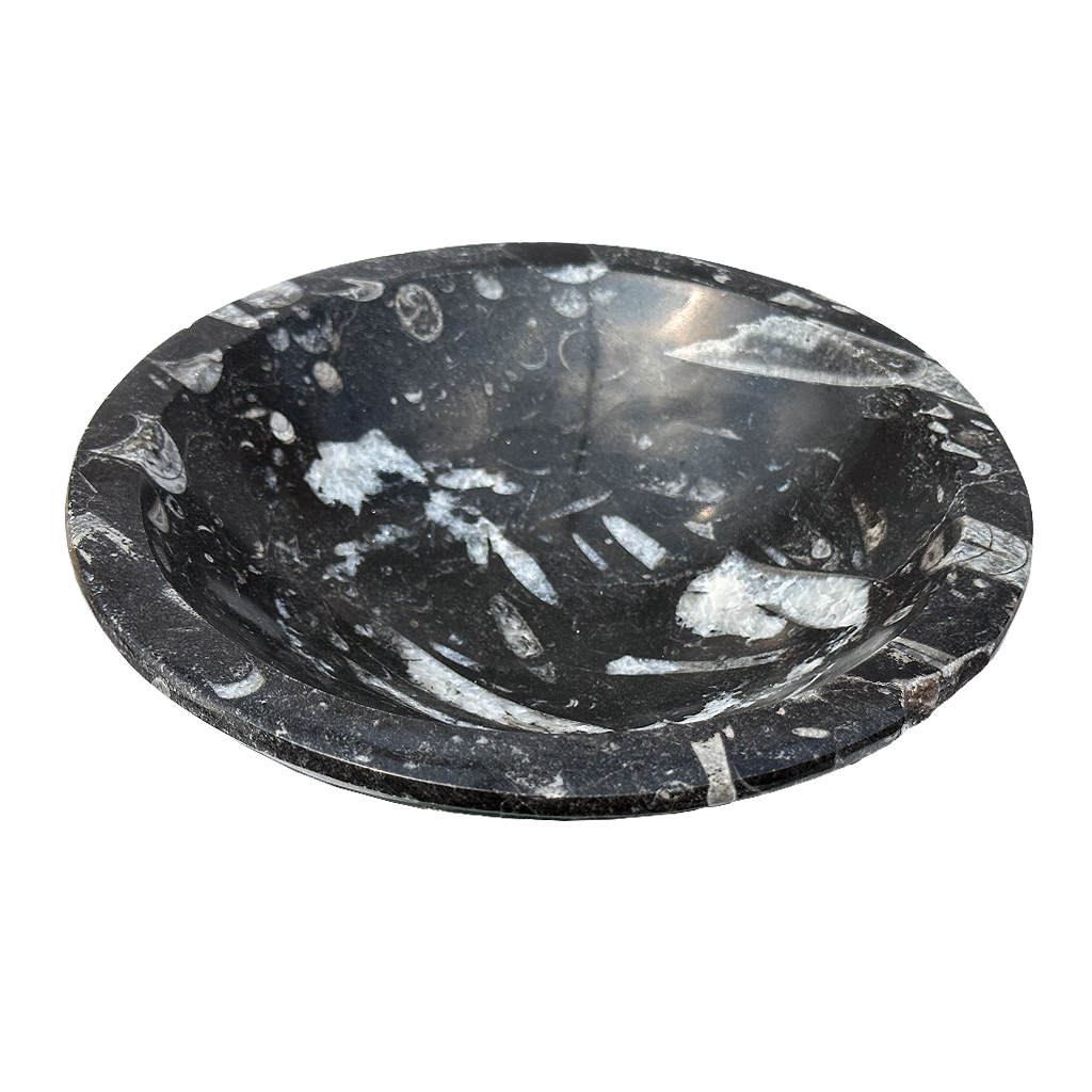 Orthoceras Bowl