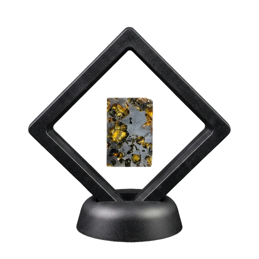 Seymchan Pallasite