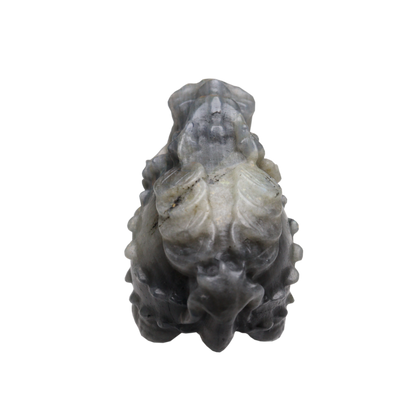 Labradorite Carving