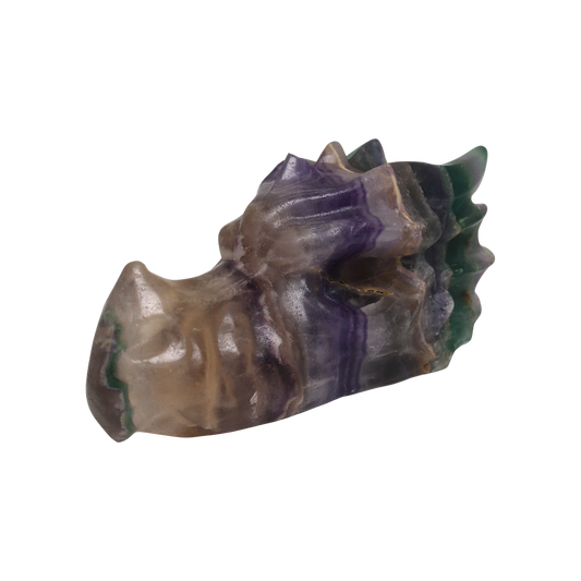 Multi Coloured Fluorite Dragon Head Carving