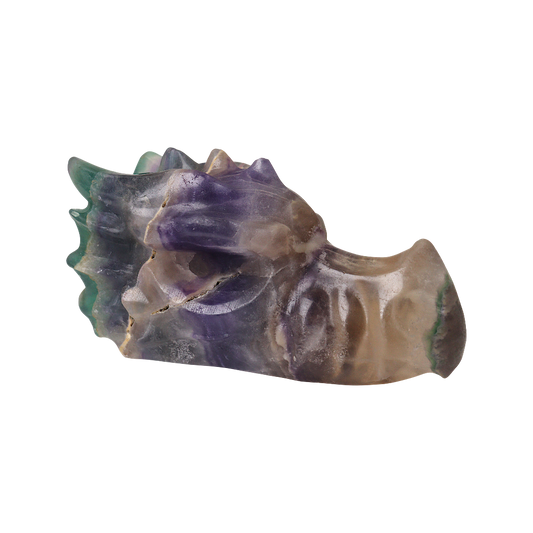 Multi Coloured Fluorite Dragon Head Carving
