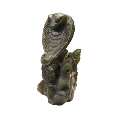 King Cobra Snake Carving – Labradorite