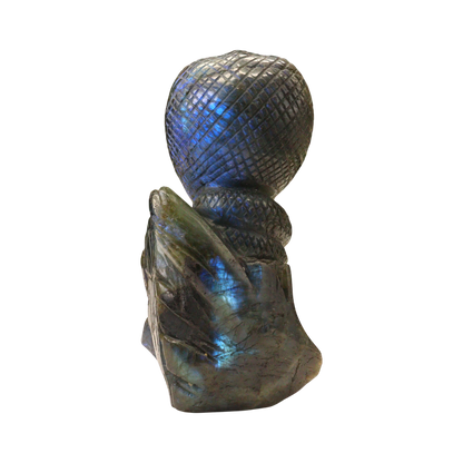 King Cobra Snake Carving – Labradorite