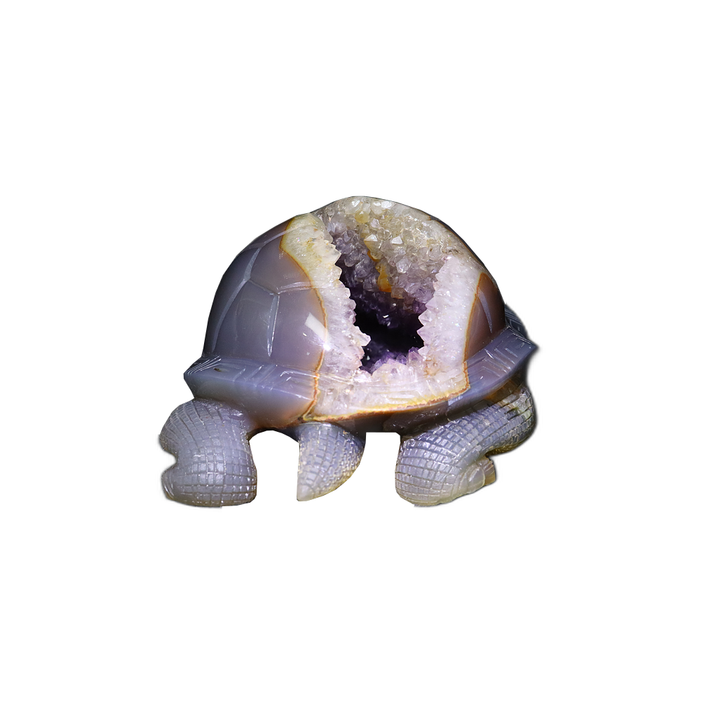 Quartz Geode in Agate Tortoise