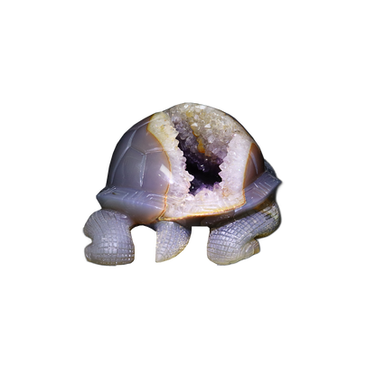 Quartz Geode in Agate Tortoise