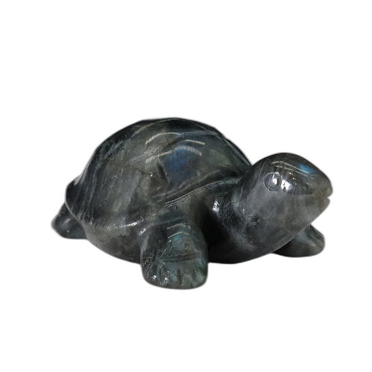 Labradorite Carving Turtle