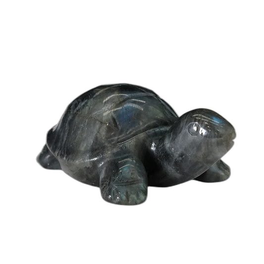 Labradorite Carving Turtle