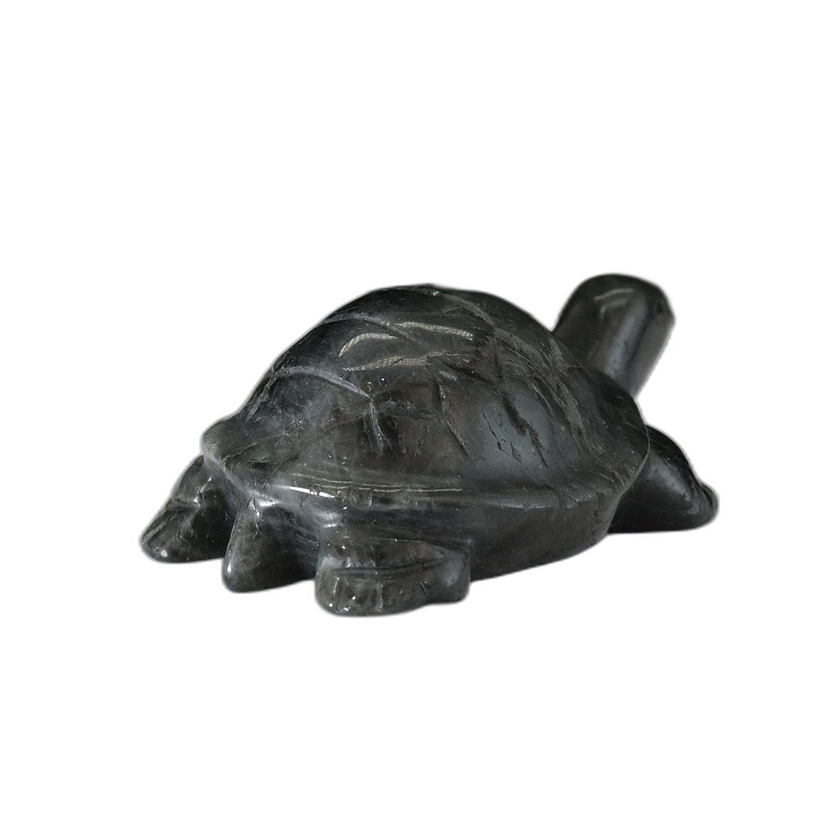 Labradorite Carving Turtle