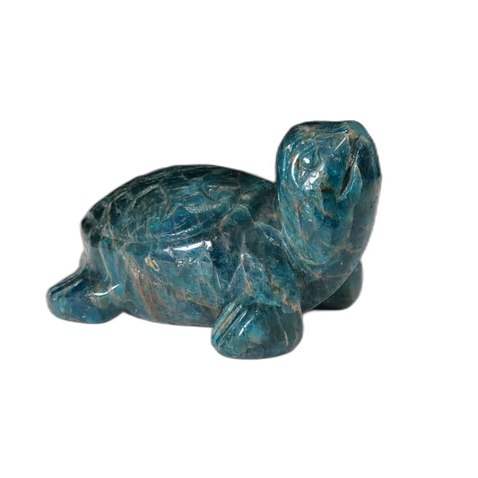 Gem Apatite Turtle Carving