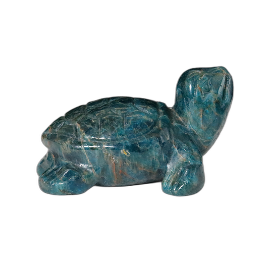 Gem Apatite Turtle Carving