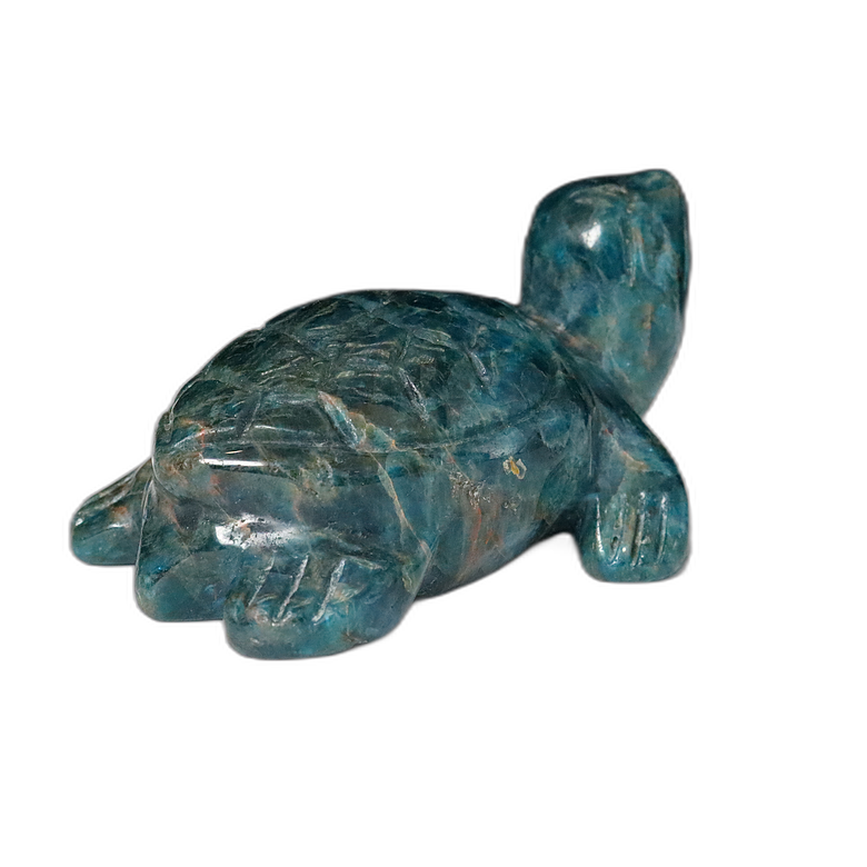 Gem Apatite Turtle Carving