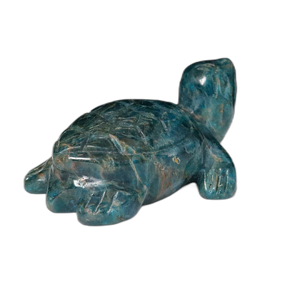 Gem Apatite Turtle Carving