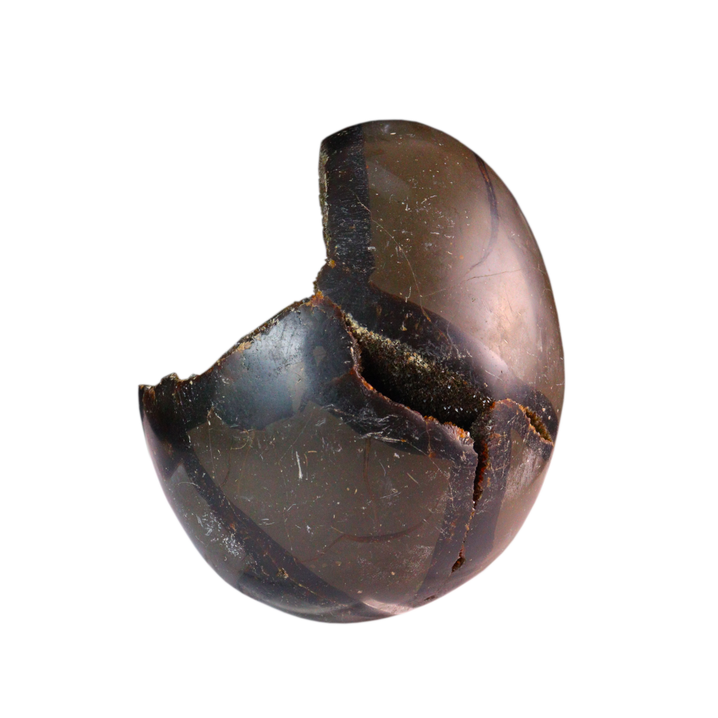 Septarian Agate with Calcite