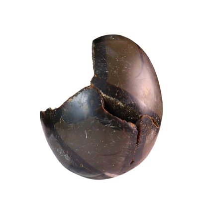 Septarian Agate with Calcite