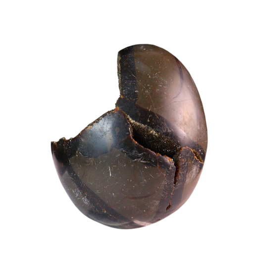 Septarian Agate with Calcite