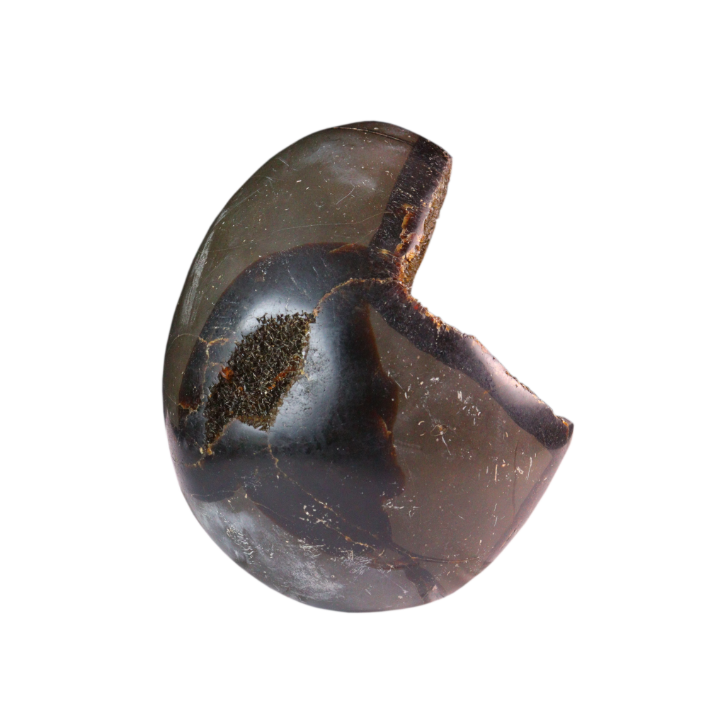Septarian Agate with Calcite