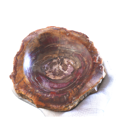 Petrified Wood Bowl