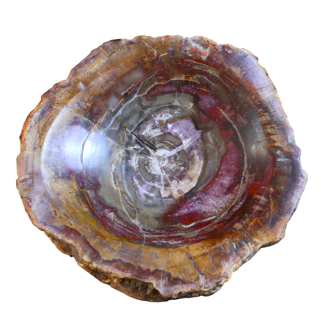 Petrified Wood Bowl